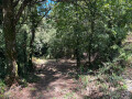 Quinta à venda em Seara, Ponte de Lima – foto 12