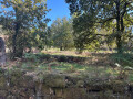 Quinta à venda em Seara, Ponte de Lima – foto 4
