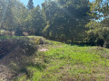 Quinta à venda em Seara, Ponte de Lima – foto 7