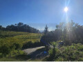 Terreno para construção à venda em Calheiros, Ponte de Lima – foto 6