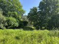 Quinta à venda em Seara, Ponte de Lima – foto 10