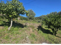 Terreno para construção à venda em Calheiros, Ponte de Lima – foto 4